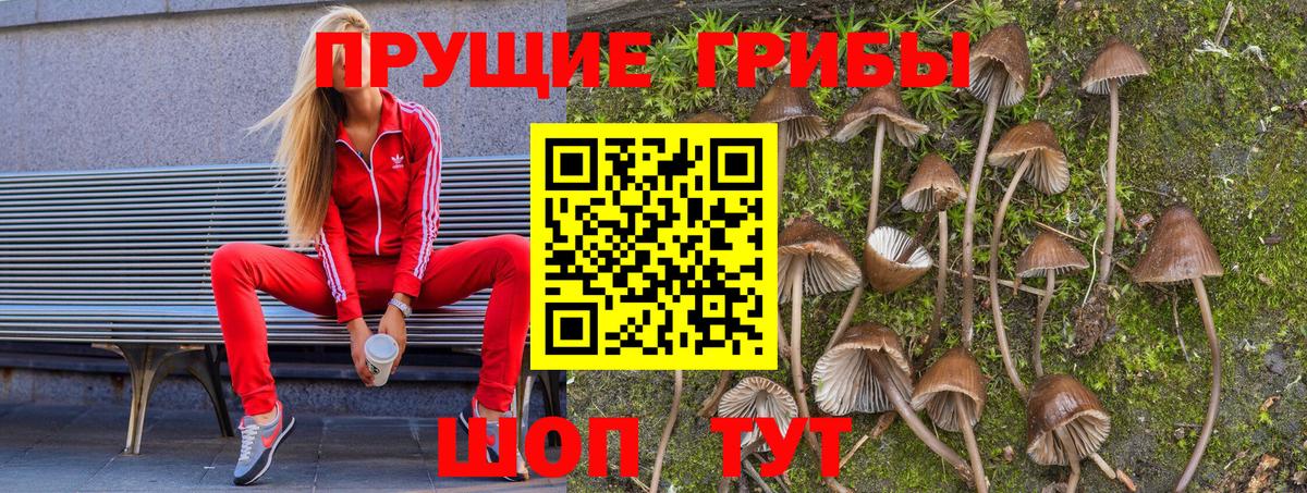Лысьва  Псилоцибиновые грибы ЛСД  Вход с VPN 